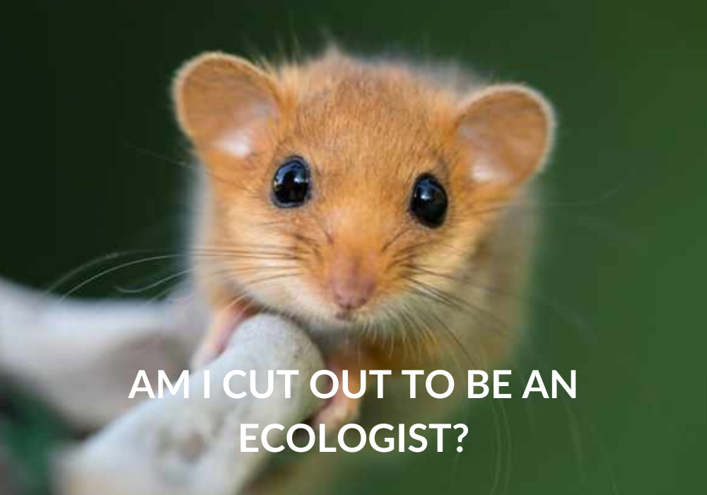 Hear What Ecologists Really Think!